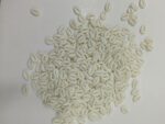 White Artificial Plastic Kodi (Cowrie)