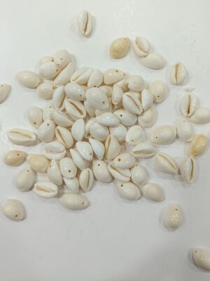 Glossy white cowrie beads