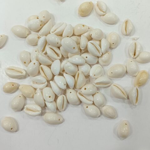 Glossy white cowrie beads