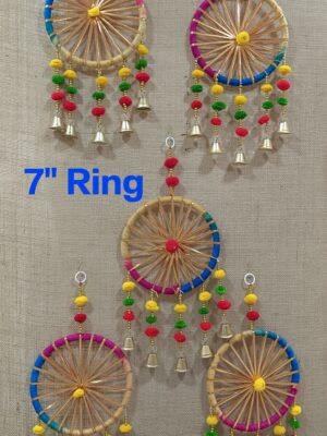 decoration multicolor ring